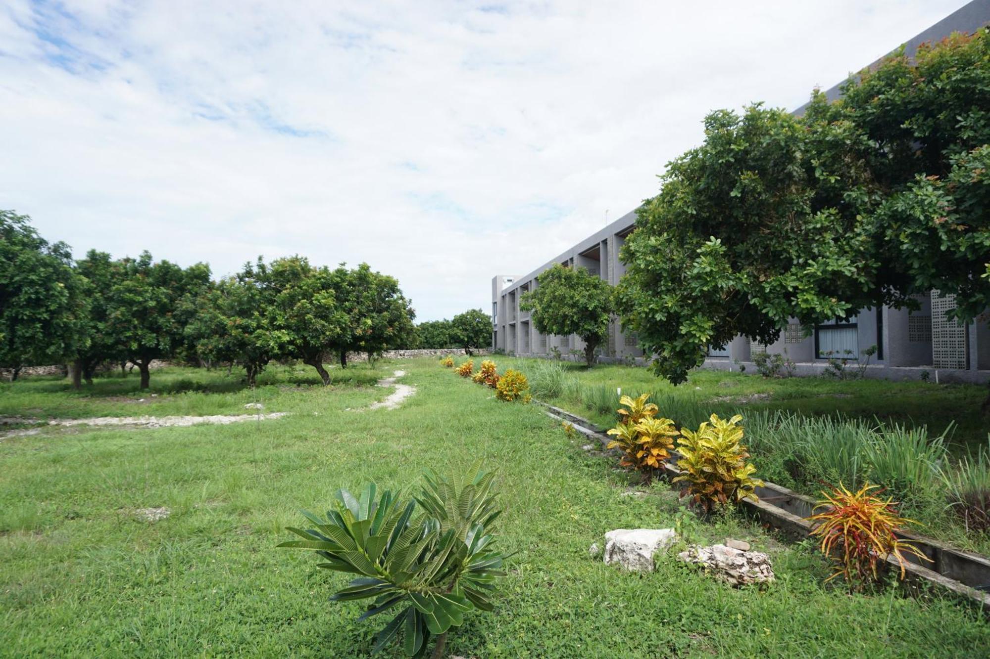 Kambaniru Beach Hotel And Resort Waingapu Exterior photo